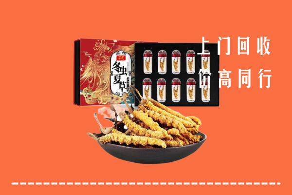 甘孜州色达回收虫草